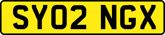 SY02NGX