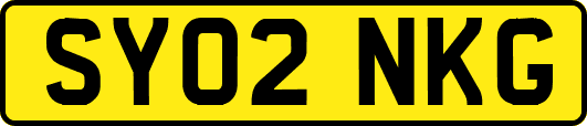 SY02NKG