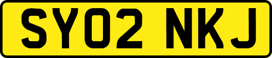 SY02NKJ