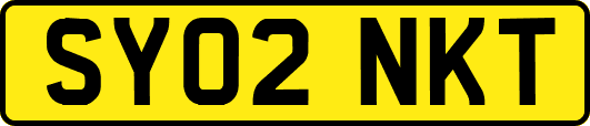 SY02NKT