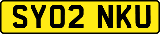 SY02NKU