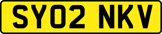 SY02NKV