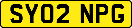 SY02NPG