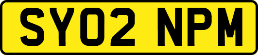 SY02NPM