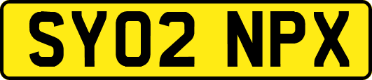 SY02NPX