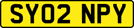 SY02NPY