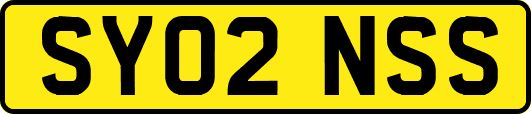 SY02NSS