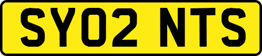 SY02NTS