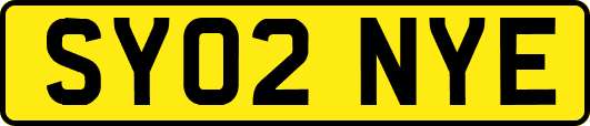SY02NYE