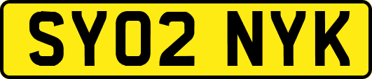 SY02NYK