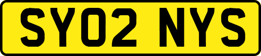 SY02NYS