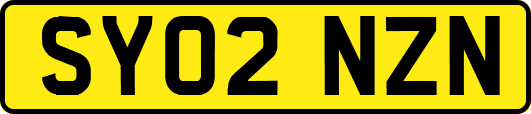 SY02NZN