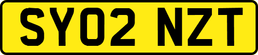 SY02NZT
