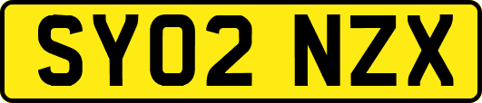 SY02NZX
