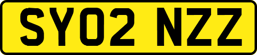 SY02NZZ