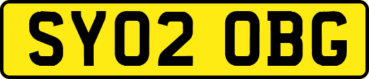 SY02OBG