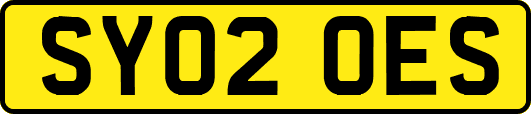 SY02OES