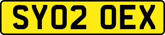 SY02OEX