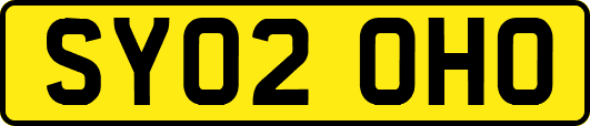 SY02OHO