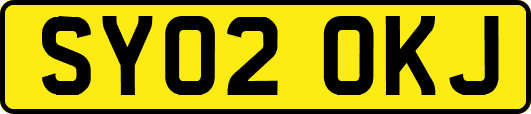 SY02OKJ