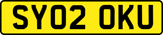 SY02OKU