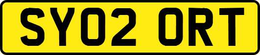 SY02ORT
