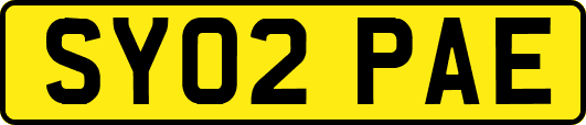 SY02PAE
