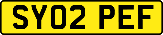 SY02PEF