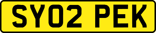 SY02PEK