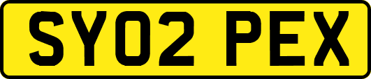 SY02PEX