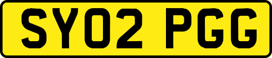 SY02PGG