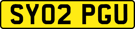 SY02PGU