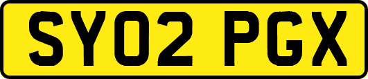 SY02PGX