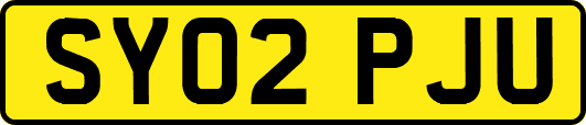 SY02PJU