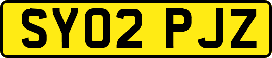 SY02PJZ