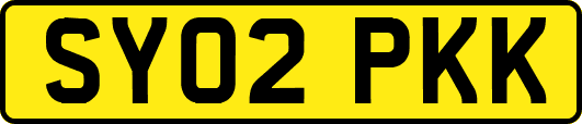 SY02PKK