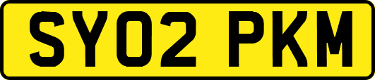 SY02PKM
