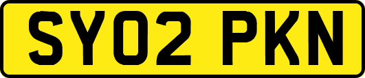 SY02PKN
