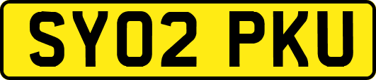 SY02PKU