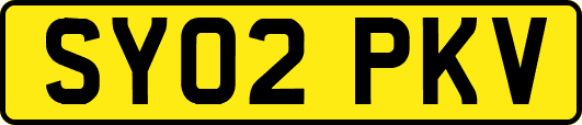 SY02PKV