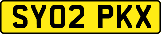 SY02PKX