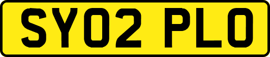 SY02PLO