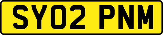 SY02PNM