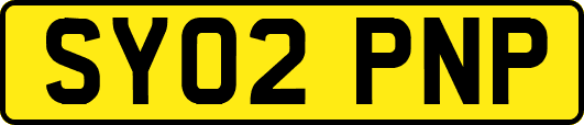 SY02PNP