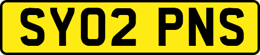 SY02PNS