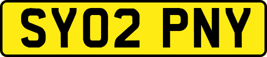 SY02PNY