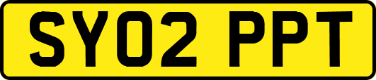 SY02PPT