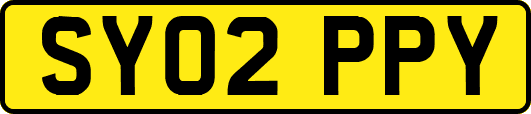 SY02PPY
