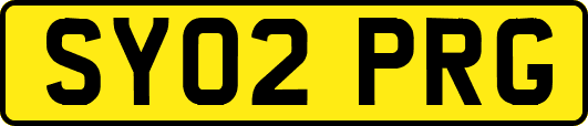 SY02PRG