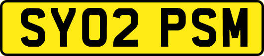 SY02PSM